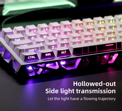 Kavlorn NJ61 White Wired Mechanical Keyboard, RGB Backlit, Full N-Key Rollover, for Gaming and Office Use